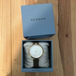 Skagen Gold Watch with Leather Band
